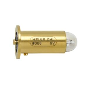 XHL XENON HALOGEN BULB 6V